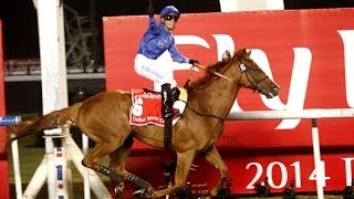 Highlights from the 2014 Dubai World Cup