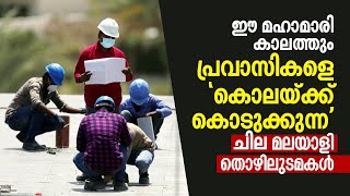 ഈ മഹാമാരി കാലത്തും പ്രവാസികളെ 'കൊലയ്ക്ക് കൊടുക്കുന്ന' മലയാളി തൊഴിലുടമകൾ | Gulf Pravasi Job Issues