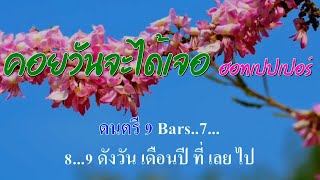 ♬คอยวันจะได้เจอ [หว่อเหอหนี่] เดอะฮอทเปปเปอร์ #karaoke #คาราโอเกะ