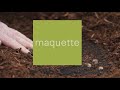 Maquette Fine Arts Services | One Tree Planted Program