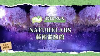 【Cola新鮮事】韓國弘大必去 🌺NATURELABS藝術體驗館