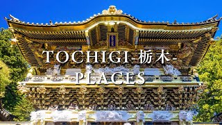 5  Places  to  Visit  in  TOCHIGI  🇯🇵  I  Japan Trip #8