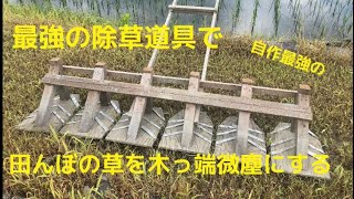 【目線】田んぼのコナギ除草する#自給自足　#お米　#除草管理　#自作道具　#米は除草管理が命