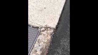 Water Leak West Paces Ferry Rd