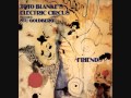 Toto Blanke's Electric Circus featuring Stu Goldberg - Friends