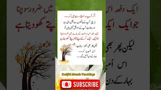 Islamic Urdu quotes  #islamicquotesinurdu #viral #goldenwords #islamicquotes #trendingshorts