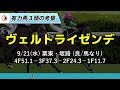 オールカマー2022【追い切り評価】抜群の動きを見せた「トップ３」はこの馬だ🐴 一週前と最終追い切り、馬体映像や調教を分析したカリスマ予想