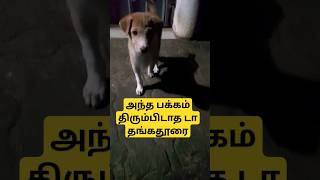 தங்கதுரை # இருட்டு பயம் # Puppies # Short