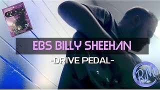 EBS Billy Sheehan Signature Drive pedal demo