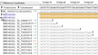 DNASTAR - Multiple Sample Assembly and Analysis (Part 1)