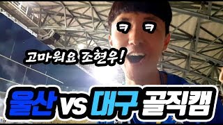 [K리그1 25R 울산 vs 대구] 울산현대 주민규의 강력한 슈팅! 대구FC 조현우 자책골 직캠!