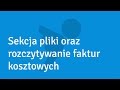 Sekcja Pliki oraz usługa rozczytywania faktur kosztowych dla Klientów Programu do Księgowości