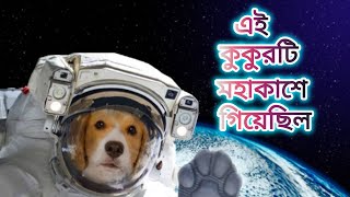 মহাকাশে প্রথম কুকুর। The first dog in space.