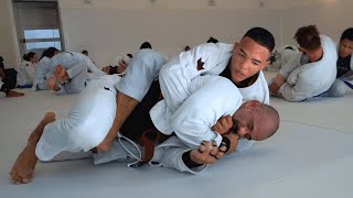 BABY SHARK ENFRENTA MASTER FAIXA MARROM DA ESCOLA MELQUI GALVÃO | SPARRING