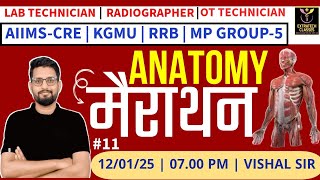 Marathon | Anatomy \u0026 Physiology | Lab Technician | Radiographer | OT technician | RRB |By Vishal sir