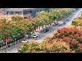 Experience vibrant autumn in Dianjun