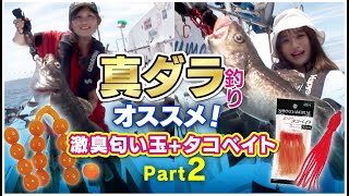 激臭匂い玉とスーパータコベイトで狙うマダラ釣り！Part2/2【中深場釣り】