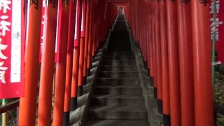 Hie Jinja Shrine Torii Corridor