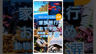 伊豆下田の家族旅行におすすめ動物園・水族館3選。貸別荘「碧ai」から車で30分圏内。