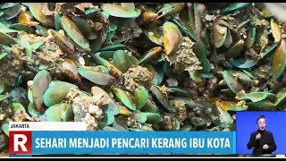 Sehari Menjadi Pencari Kerang Ibu Kota | REDAKSI SORE (12/10/19)