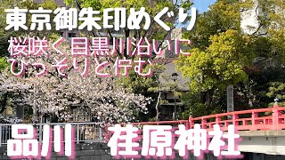 【品川　荏原神社】満開の桜咲く目黒川沿いに佇む荏原神社。龍神が見守るその歴史と厳かな空間に癒されます。