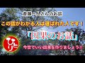 【斎藤一人さんのお話】この話がわかる人は選ばれた人です 「因果のお話」今世でいい因果を作りましょう‼︎