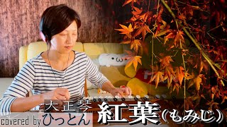 【大正琴】「紅葉」covered byひっとん【多重録音】【1人４パート演奏】