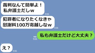 【LINE】弁護士のフリして私に慰謝料100万を請求するご近所の泥ママ「裁判したらアンタ負けるよ」→私が本当に弁護士だと明かした結果ｗｗ