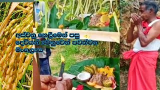 අස්වනු නෙළීමෙන් පසු⁣ දෙවියන් වෙනුවෙන් පවත්වන මංගල්‍යය (දේව දානය )#traditionalfood#sirlankafood