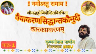 सिद्धांतकौमुदी कारकप्रकरणम् -1।krishnagopal pandey