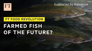 A better way to farm fish? | FT Food Revolution