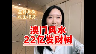 澳门风水局｜附带永利酒店发财树全视频