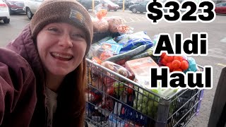 Once a Month Grocery Shopping Haul | Aldi Grocery Haul February