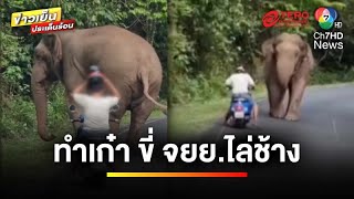 หนุ่มนิรนามทำเก๋า ! ขี่รถมอเตอร์ไซต์ ไล่ช้างป่าเขาใหญ่ | ข่าวเย็นประเด็นร้อน