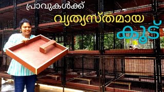 പ്രാവുകൾക്കു വേണ്ടി പുതിയ കൂട് നിർമ്മിക്കുന്നതിന്  മുൻപ് ഉറപ്പായും നിങ്ങൾ ഈ വീഡിയോ കാണാൻ ശ്രമിക്കുക.