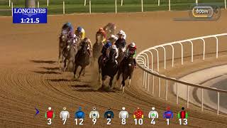 Dubai World Cup 2019: Dubai World Cup Race Replay - Thunder Snow (IRE)