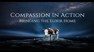 Compassion In Action - Bringing the Elixir Home