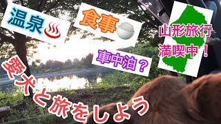 【愛犬と旅をしよう】山形編 蔵王温泉〜犬たちの秘密の場所〜山形郷土料理 Traveling to Yamagata Japan!