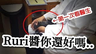 第一次帶我們家兔子去日本的動物醫院！＋Ruri房間大改造【Ruri醬的成長日記#5】