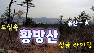 울산 MTB 초급 싱글 추천 - 황방산 싱글