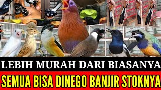 🔴 LEBIH MURAH DARI BIASANYA ! SPESIAL WEKEND AMBYAR STOKNYA 0838-7553-6945