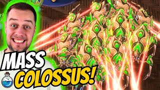 ROASTING armies with MASS COLOSSUS! | StarCraft 2