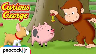 Training a Puppy and a Pig | CURIOUS GEORGE