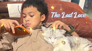 The Lost Love ความรักที่หายไป#cat #music #aisongs #song