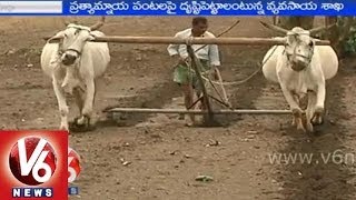 Warangal farmers lost their hope on Kharif crop