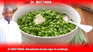 Dr BUCYANA:  AMASHAZA BURYA YO NI URUKINGO RWAKURINDA INDWARA NYINSHI.