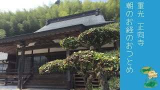 重光　正向寺　朝のお経のおつとめ　11月12日(日)