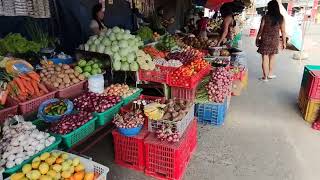 Santa Cruz Ilocos Sur Beach and Public Market