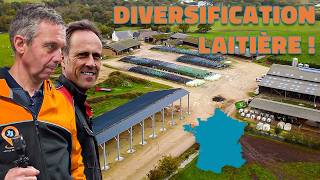 140 vaches 🐄, une famille, une histoire : La plus belle ferme de France ?