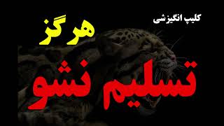 انگیزه برای پیروزی: شروع داستان قهرمانی شما| کلیپ انگیزشی تسلیم نشو شروع داستان قهرمانی تو